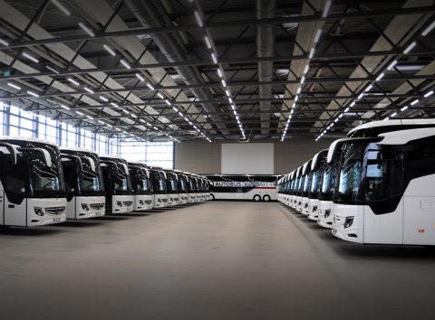To busselskaber, 24 busser.