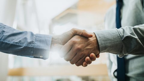 Consulting & contact