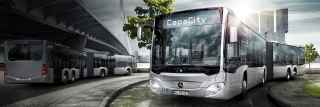 Le CapaCity & CapaCity L.